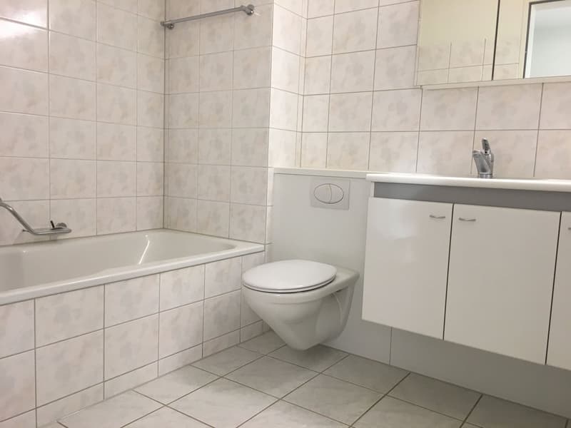 Schöne Wohnung in ruhiger Lage am Dorfrand, nahe Tram und Läden (4)
