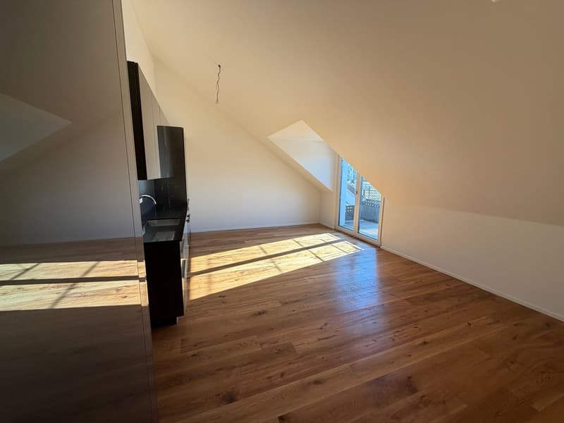 Neubau 2.5 Zimmer Wohnung; Dachhöhe 3.5 Meter (2)