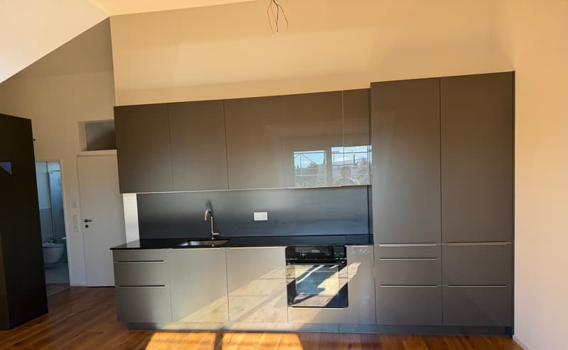 Neubau 2.5 Zimmer Wohnung; Dachhöhe 3.5 Meter (1)
