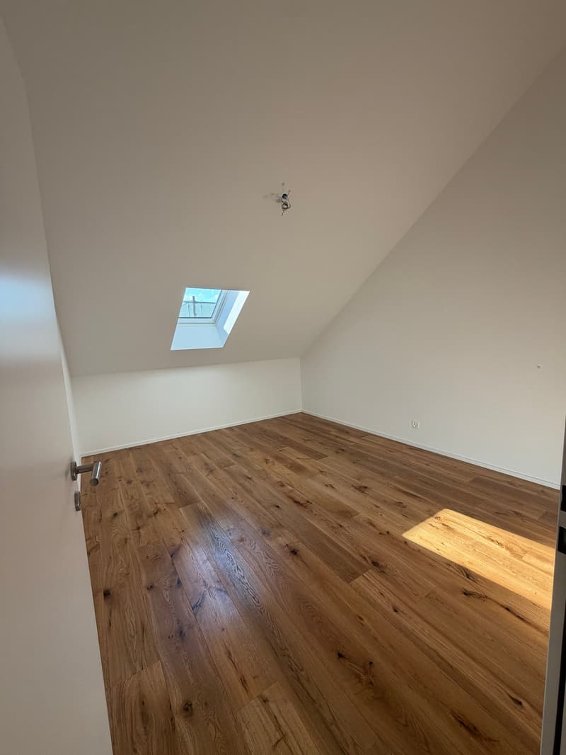 Neubau 2.5 Zimmer Wohnung; Dachhöhe 3.5 Meter (6)