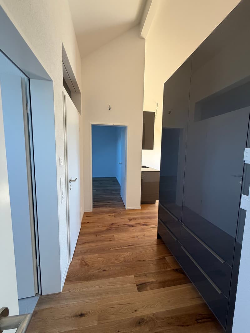 Neubau 3.5 Zimmer Wohnung; Dachhöhe 3.5 Meter (4)