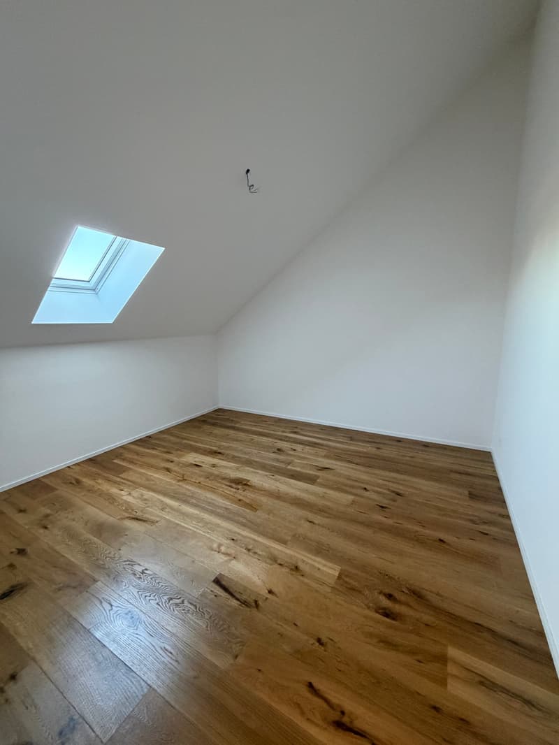 Neubau 3.5 Zimmer Wohnung; Dachhöhe 3.5 Meter (7)