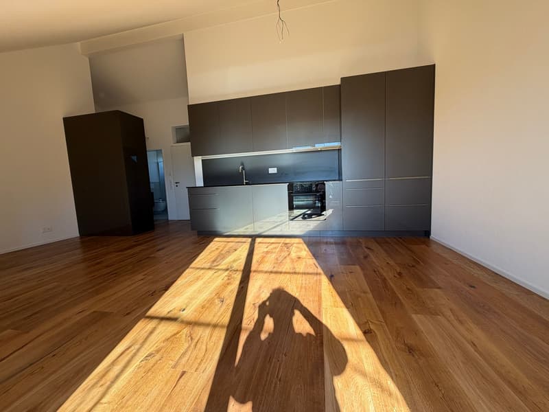 Neubau 3.5 Zimmer Wohnung; Dachhöhe 3.5 Meter (3)