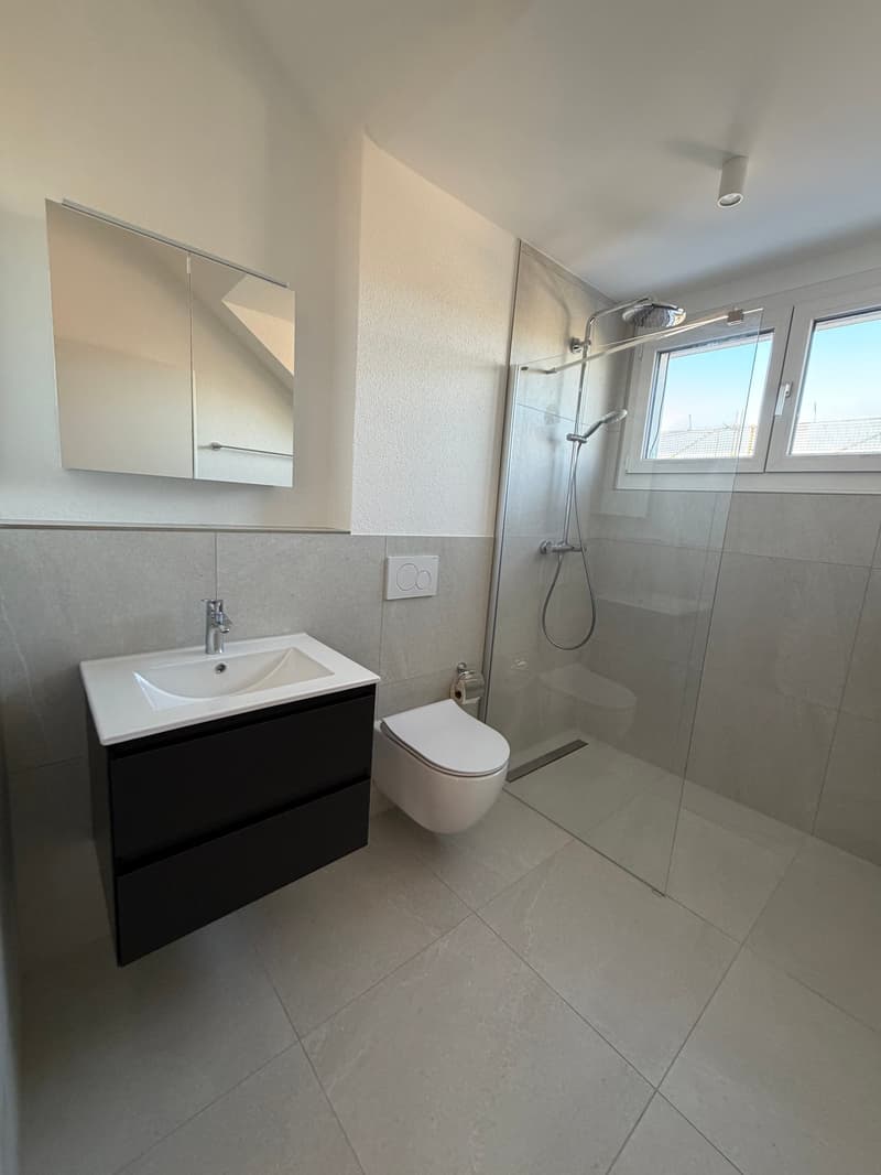 Neubau 3.5 Zimmer Wohnung; Dachhöhe 3.5 Meter (5)