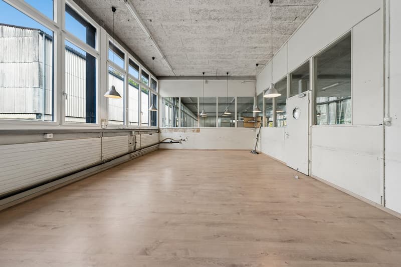 Attraktive Gewerbeliegenschaft mit vielseitigen Nutzungsmöglichkeiten (33)