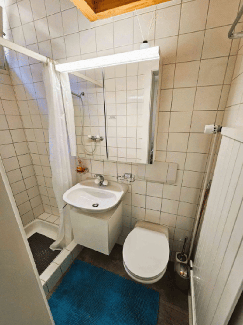 Komplett möblierte 2-Zimmer Wohnung im Herzen von Meringen (5)