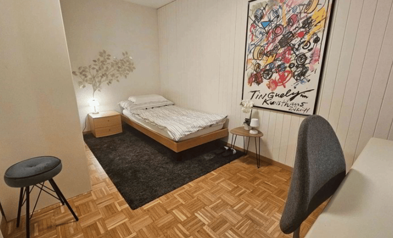 Ruhige luxuriöse möblierte Luzerner Wohnung- alles inkludiert (8)
