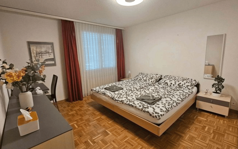 Ruhige luxuriöse möblierte Luzerner Wohnung- alles inkludiert (10)