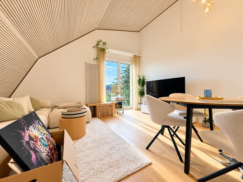 WOHNEN ÜBER DEN DÄCHERN VON ZÜRICH (3)
