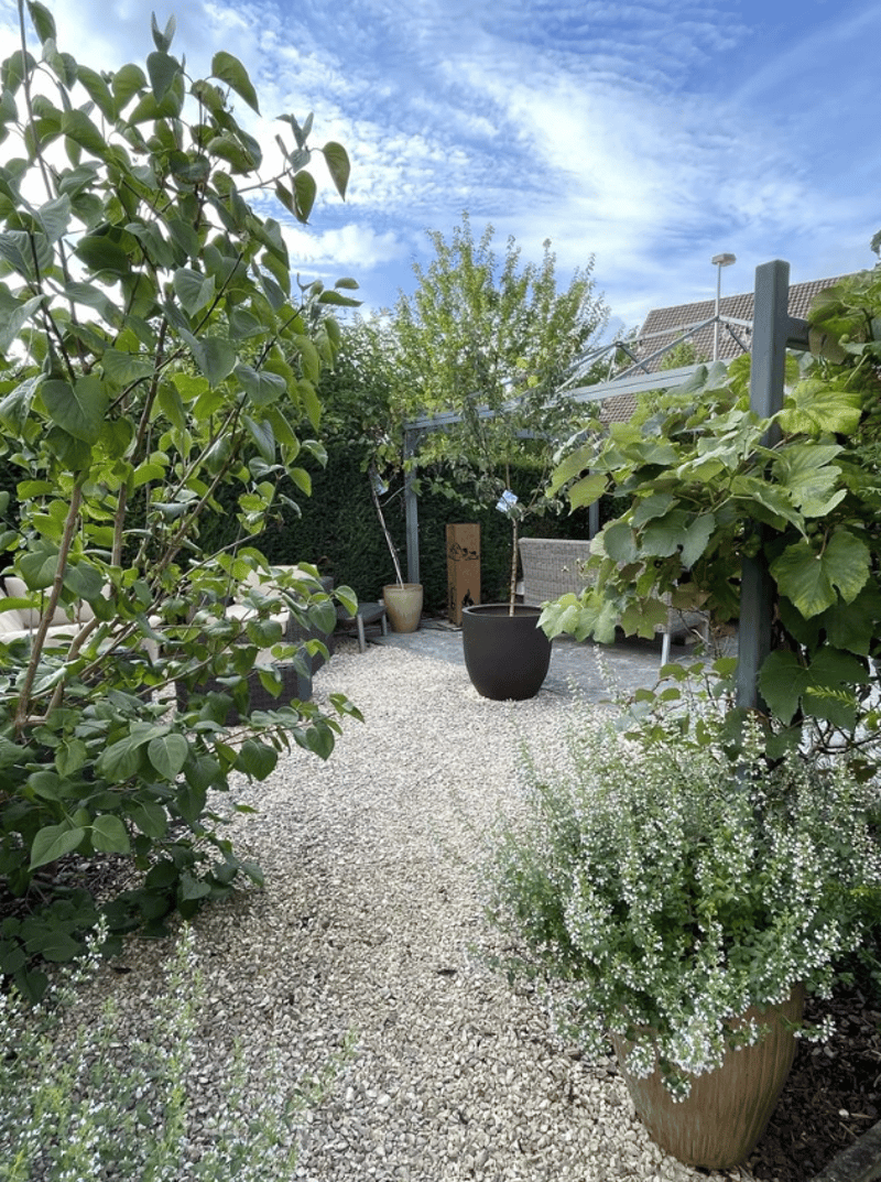Grosszügige 3.5-Zimmer-Wohnung mit Cheminée, Garten und Balkon (7)