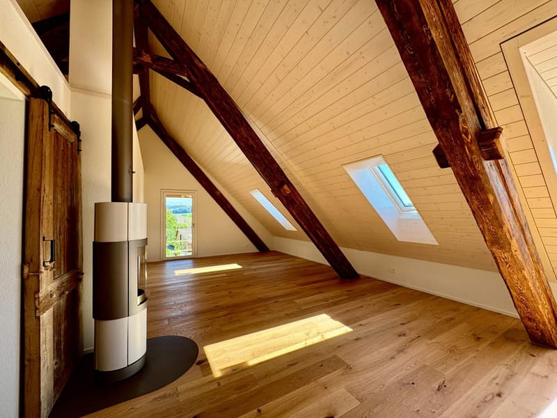 Neue 2.5-Zimmer-Maisonette-Wohnung mit Galerie – Historischer Charme trifft modernen Komfort (15)