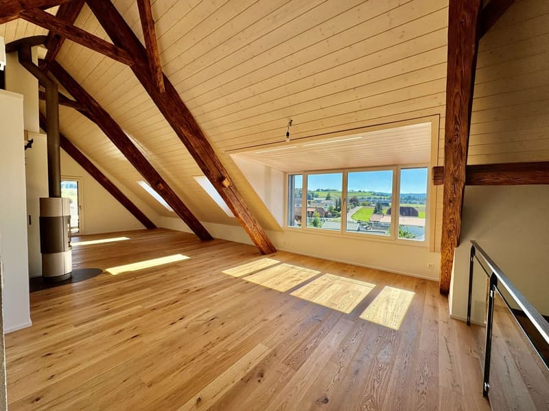 Neue 2.5-Zimmer-Maisonette-Wohnung mit Galerie – Historischer Charme trifft modernen Komfort (14)
