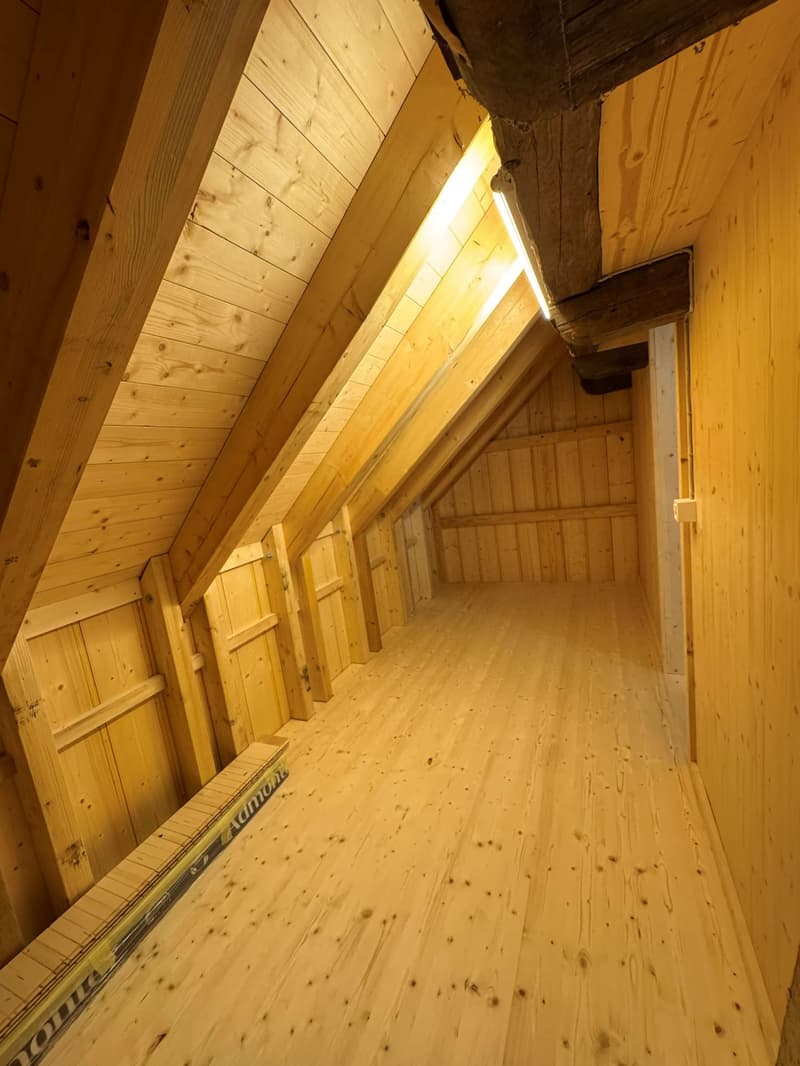 Neue 2.5-Zimmer-Maisonette-Wohnung mit Galerie – Historischer Charme trifft modernen Komfort (24)