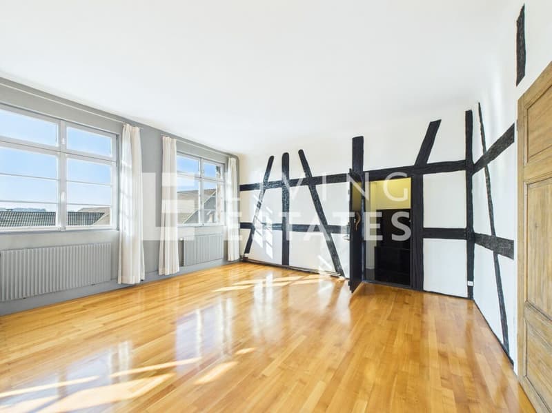 HISTORIC HOUSE. THREE UNITS. MULTIFUNCTIONAL. (16)