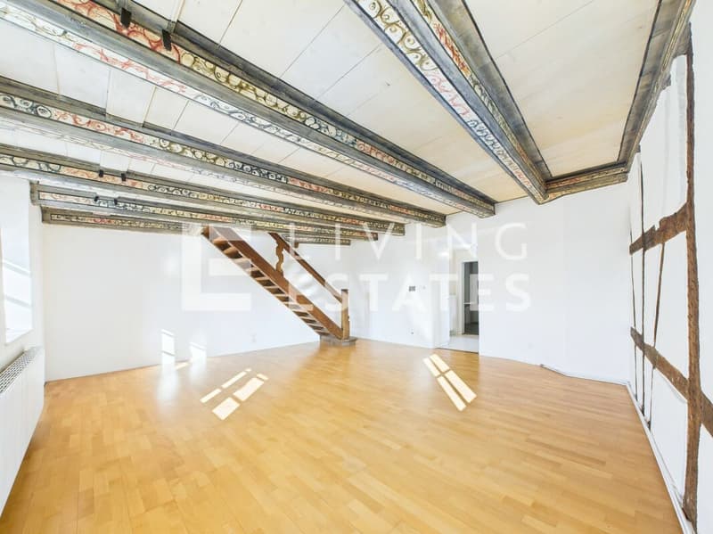 HISTORIC HOUSE. THREE UNITS. MULTIFUNCTIONAL. (3)