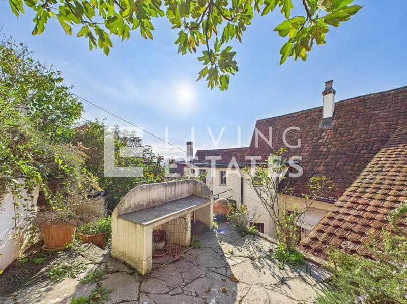 HISTORIC HOUSE. THREE UNITS. MULTIFUNCTIONAL. (19)