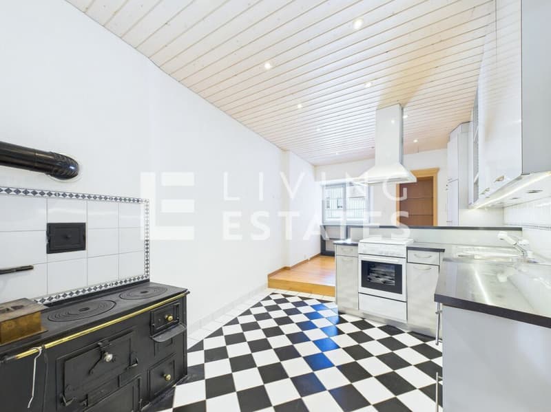 HISTORIC HOUSE. THREE UNITS. MULTIFUNCTIONAL. (14)