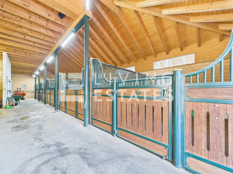 LUXE POUR HUMAINS & CHEVAUX - UNIQUE EN SON GENRE (7)
