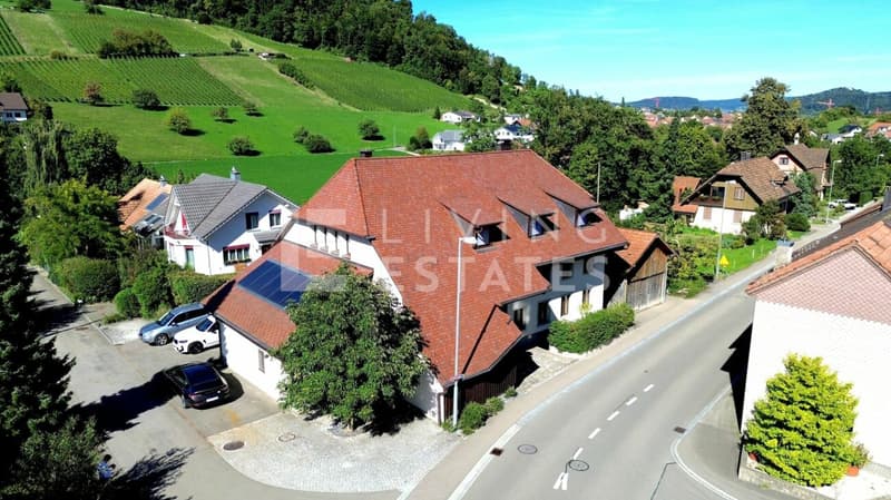 ALPINE CHIC. TOPMODERN. VIEL PLATZ. (10)