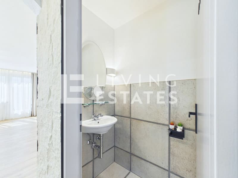 TERRACED HOUSE WITH PANORAMIC VIEW AND INDIVIDUAL LIGHTING CONCEPT (9)