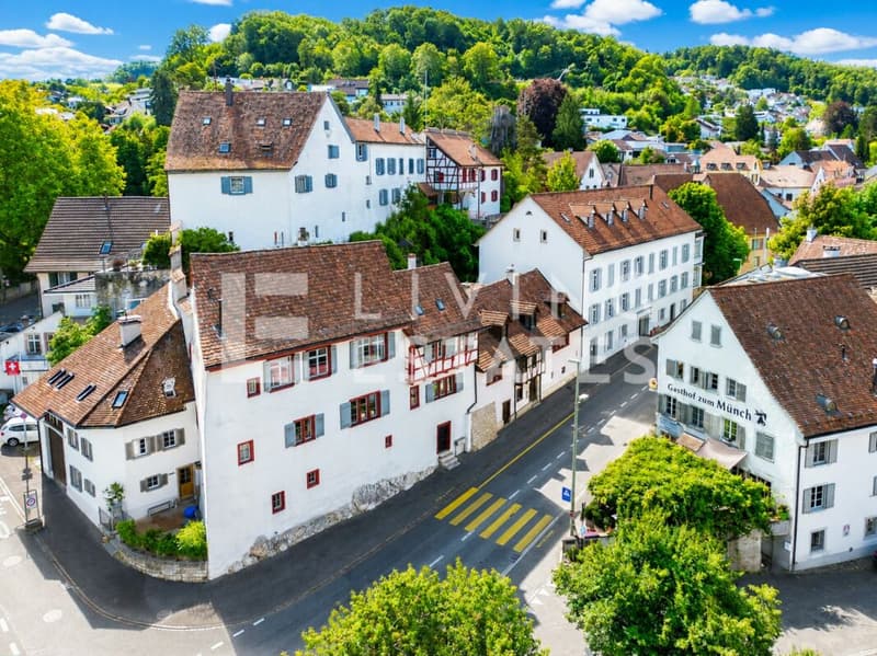 HISTORISCHER CHARME. DREI EINHEITEN. VIEL POTENZIAL. (20)