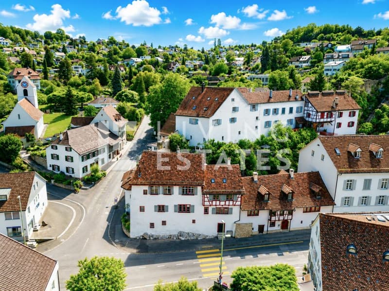 HISTORISCHER CHARME. DREI EINHEITEN. VIEL POTENZIAL. (1)