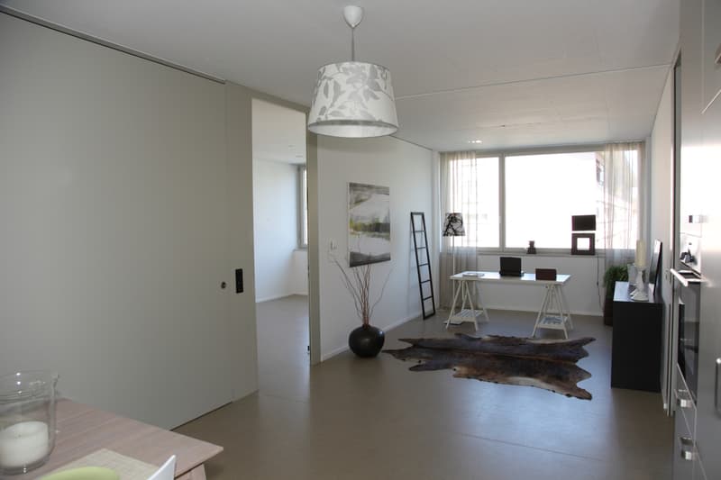 2 Room Loft Apartment for Rent! (13)