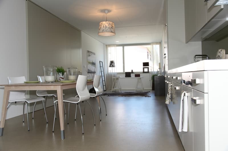 2 Room Loft Apartment for Rent! (10)