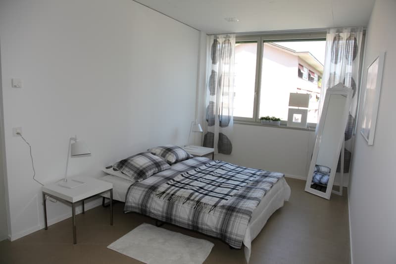 2 Room Loft Apartment for Rent! (12)