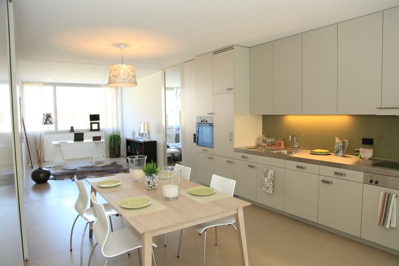 2 Room Loft Apartment for Rent! (9)
