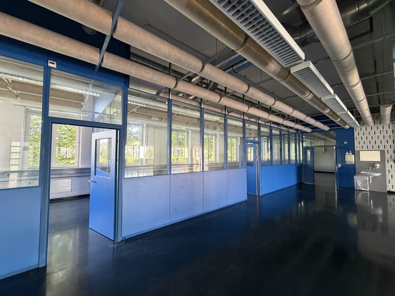 Vielseitig nutzbare Gewerbe-Liegenschaft direkt beim Bahnhof Wohlen (3)