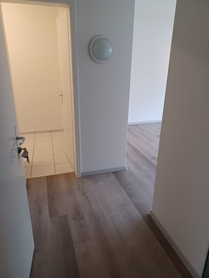 Appartement charmant 1 pièce avec balcon à Grenchen (5)