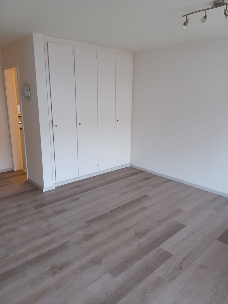 Appartement charmant 1 pièce avec balcon à Grenchen (4)