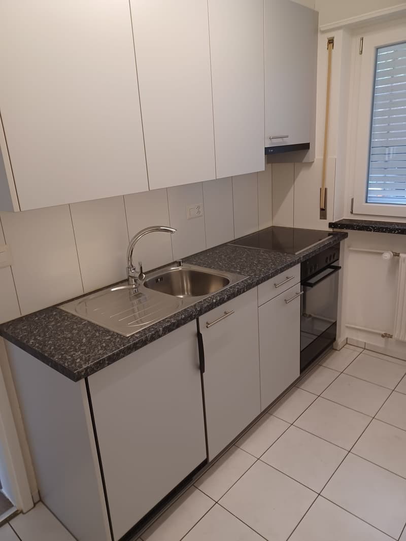 Appartement charmant 1 pièce avec balcon à Grenchen (1)