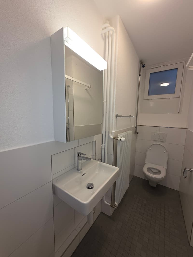 Charmante 2-Zimmer-Altbauwohnung an der Alpenstrasse in Grenchen (5)