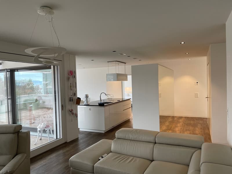 3 1/2 Maisonette attic apartment, large sun terraces with basement, 2 underground parking spaces (10)