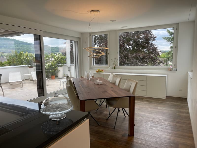 3 1/2 Maisonette attic apartment, large sun terraces with basement, 2 underground parking spaces (12)