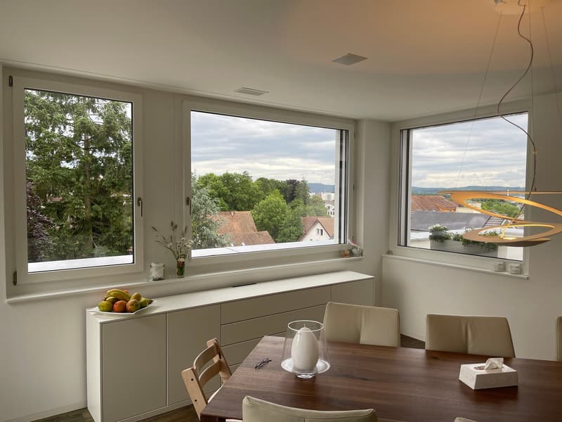 3 1/2 Maisonette attic apartment, large sun terraces with basement, 2 underground parking spaces (7)