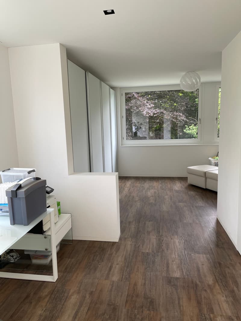 3 1/2 Maisonette attic apartment, large sun terraces with basement, 2 underground parking spaces (23)