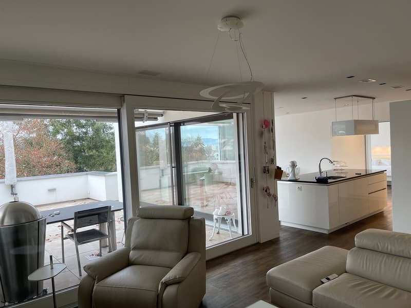 3 1/2 Maisonette attic apartment, large sun terraces with basement, 2 underground parking spaces (13)