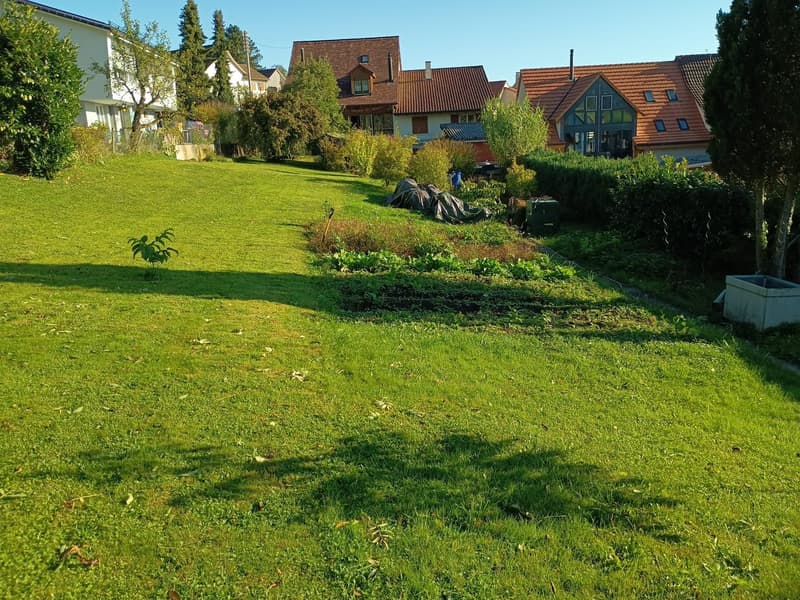 Zwei aneinandergebaute Liegenschaften mit 1539 m2 Grundstück in der Kern- und Landwirtschaftszone (3)