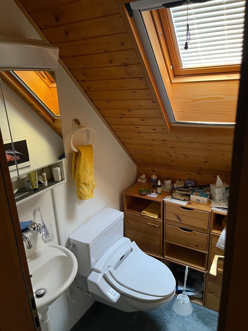 3 1/2 Room Maisonette Attic Apartment 88 m2 with 2 Balconies and Studio 46 m2 (Option) (13)