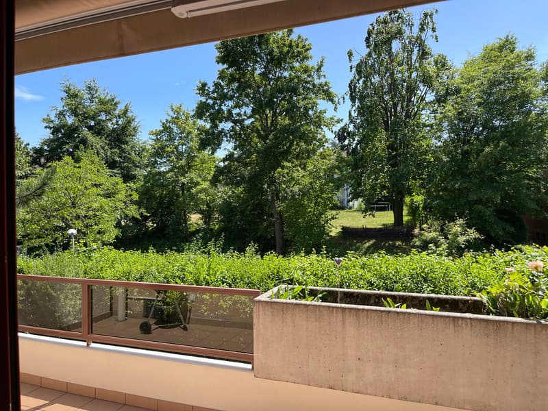 Sunny 3.5-room apartment with fireplace, hobby room, and great potential (16)