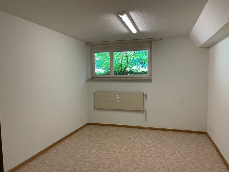 Sunny 3.5-room apartment with fireplace, hobby room, and great potential (25)