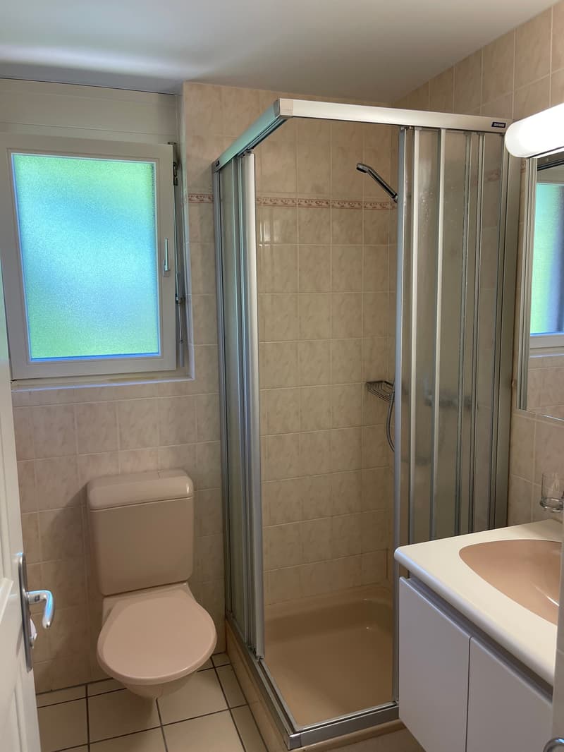 Sunny 3.5-room apartment with fireplace, hobby room, and great potential (24)