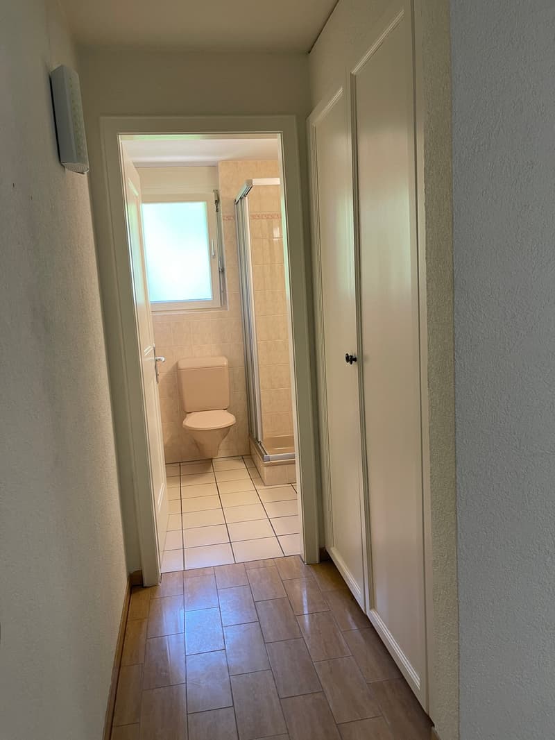Sunny 3.5-room apartment with fireplace, hobby room, and great potential (23)