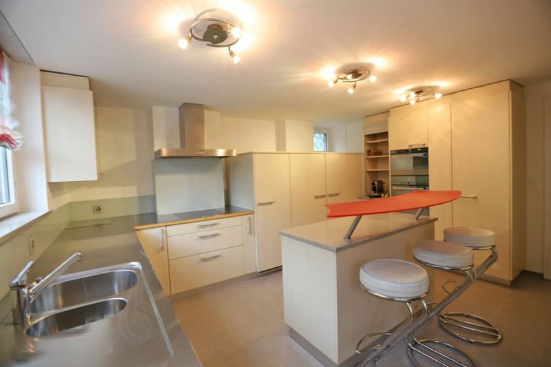 Lussuosa casa residenziale di 10 stanze con potenziale (3)