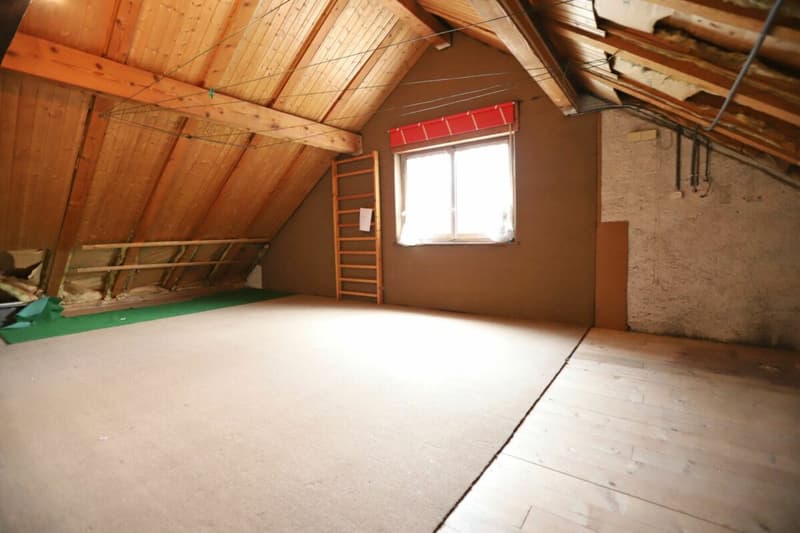 Lussuosa casa residenziale di 10 stanze con potenziale (10)