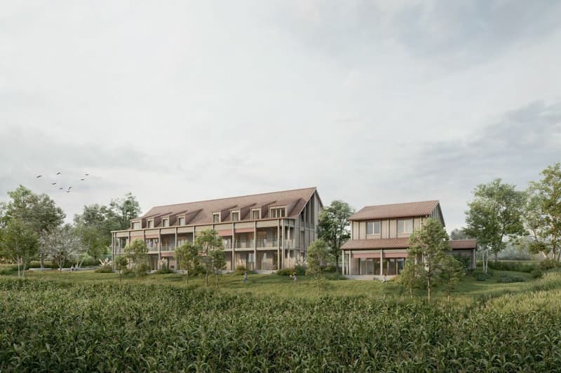 Panoramic view of Affeltrangen - new, detached 5.5-room single-family home (1)