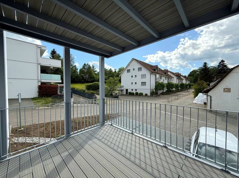 Modern renovated 3.5 room rental apartments with balcony (8)